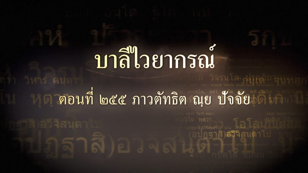 ตอนที่ ๒๕๕ ภาวตัทธิต ณฺย ปัจจัย